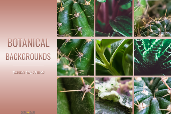 Download Botanical Textures Pack Backgrounds - Pack Collection