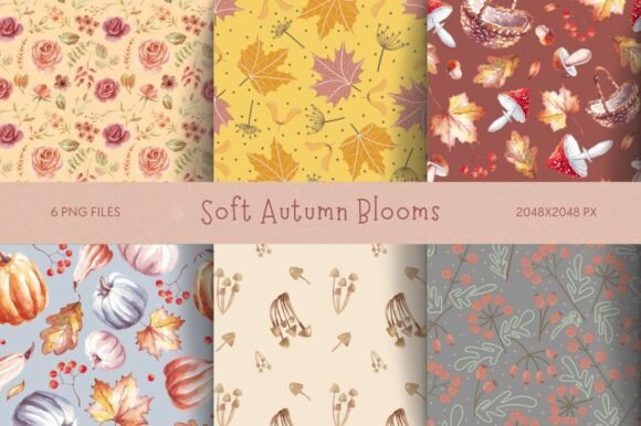 Download Soft Autumn Blooms - Autumn Collection